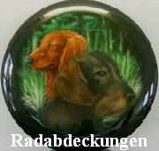 radabdeckungDrob